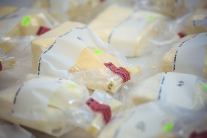 Россельхознадзор обнаружил в Самаре фальсифицированные сыр и сливочное масло