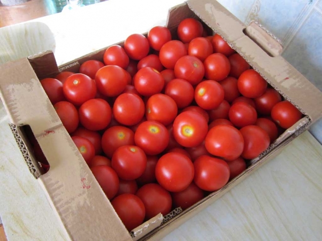В Самаре резко подешевели помидоры