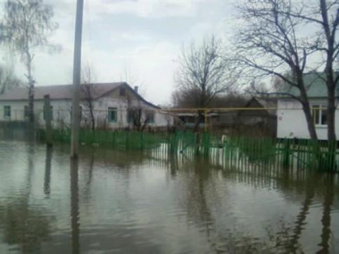 В Самарской области появились первые «жертвы» паводка